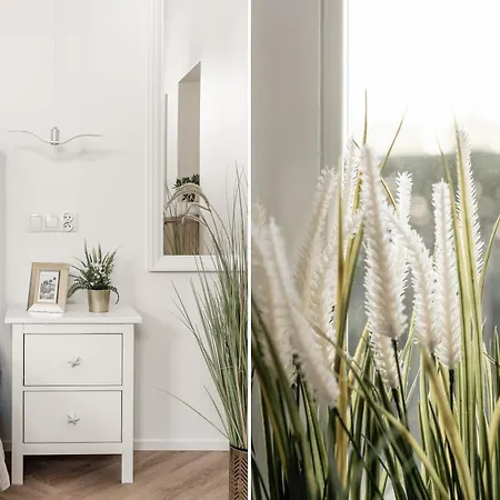 Sanhaus - Koral Z Parkingiem - 200 M Od Plazy